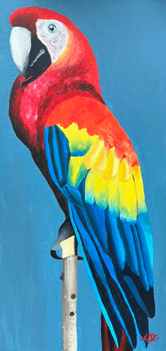 Macaw