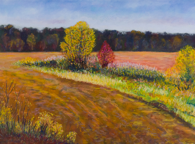 Fall Field