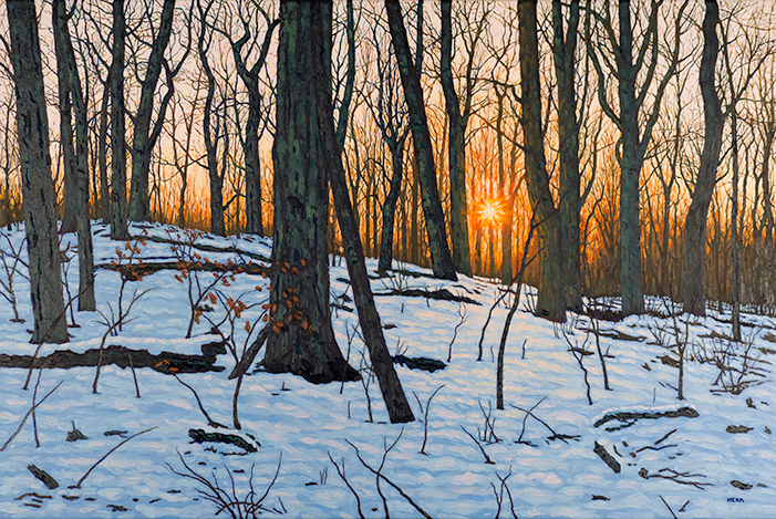 Setting Sun - Winter Hillside