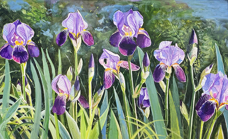 Julie’s Irises